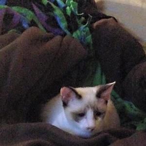 Meet your Posher, Christine