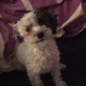 Meet your Posher, Caitlin