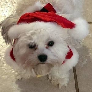 Meet your Posher, Kathi