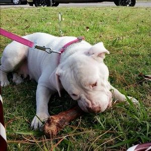 Meet your Posher, Rocio