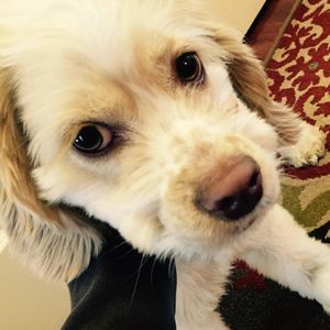 Meet your Posher, Jen