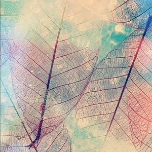 Meet your Posher, Arielle