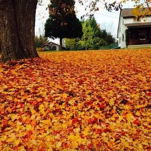 Meet your Posher, Derya