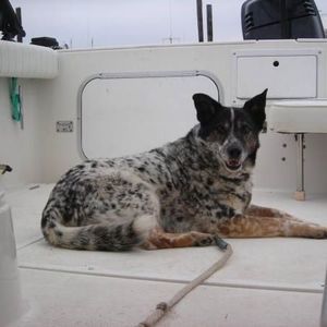 Meet your Posher, Maureen