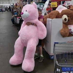 Meet your Posher, Norma