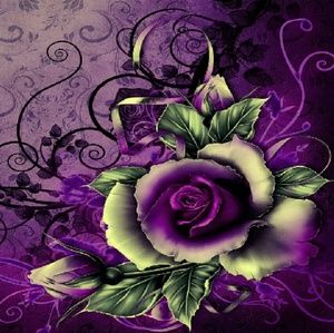 Meet your Posher, Cathy