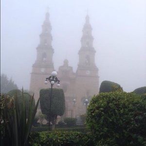 Meet your Posher, Susana