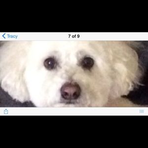 Meet your Posher, Tracy