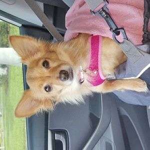 Meet your Posher, Sam