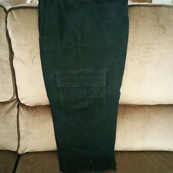 Capris - Picture 1 of 1