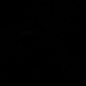 Meet your Posher, Tory