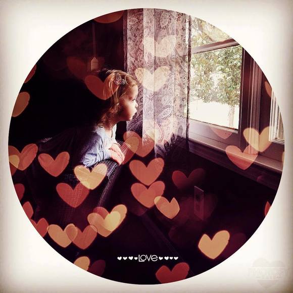 Meet your Posher, Windy - Picture 1 of 1