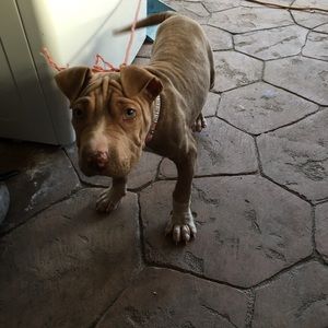 Meet your Posher, Ben