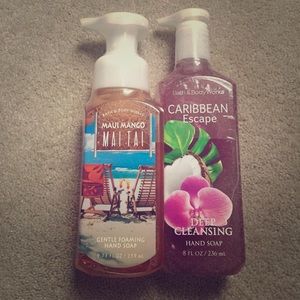Bath and Body Works Hand Soap