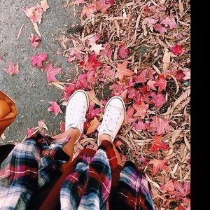 Meet your Posher, Sydney