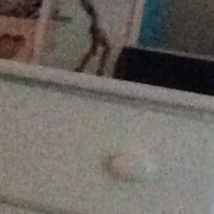 Meet your Posher, Amiaya