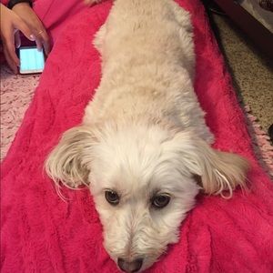 Meet your Posher, Lynn