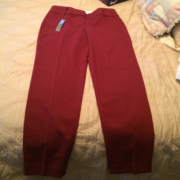 Ann Taylor Loft Pants Julie Pencil Cut Size 4 - Picture 1 of 4
