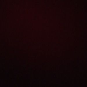 Meet your Posher, Mya