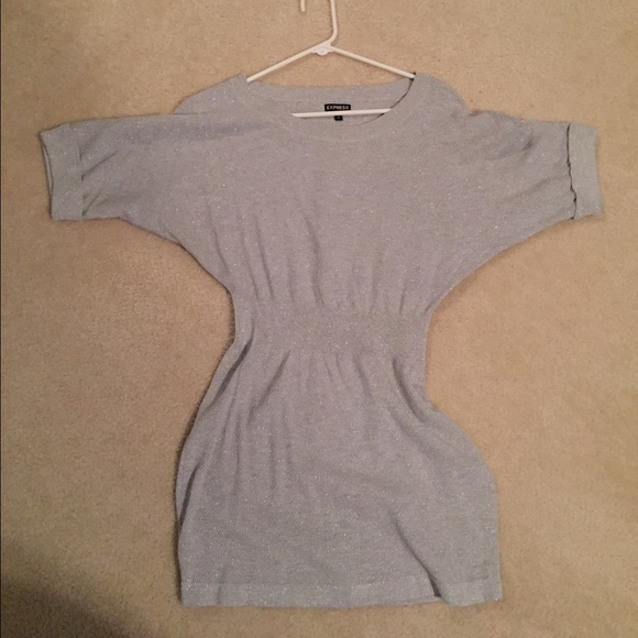 Express Silver Sweater Dress