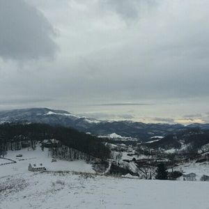 Meet your Posher, Anissa