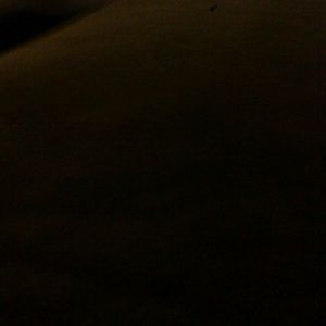 Meet your Posher, Sadie