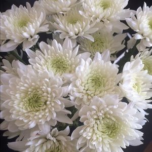 Meet your Posher, Tanja