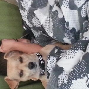 Meet your Posher, Lilly