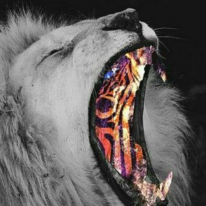 Meet your Posher, Gustavo