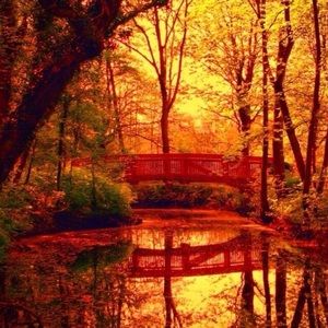 Meet your Posher, Kay