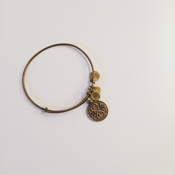 Alex and Ani Path of Life Charm Bangle