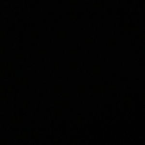 Meet your Posher, Malia