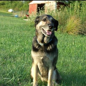 Meet your Posher, Shannon