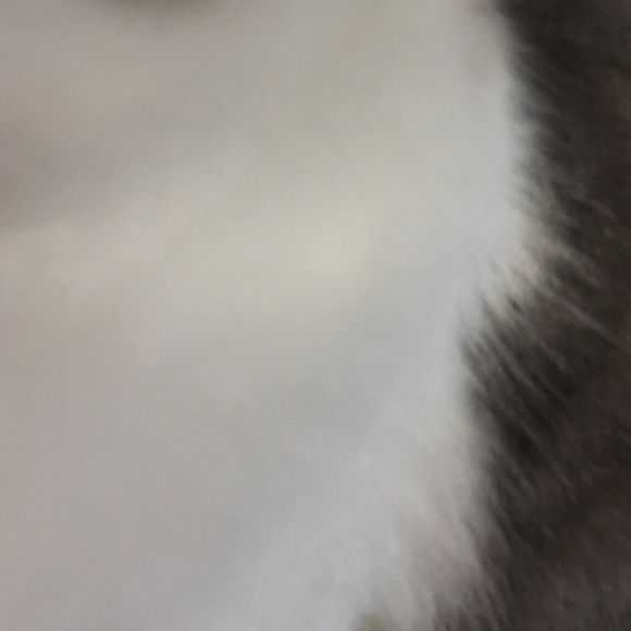 Meet your Posher, Erin - Picture 1 of 1