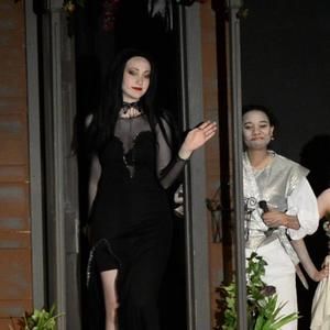 Meet your Posher, Molly