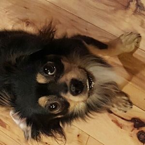 Meet your Posher, Crew