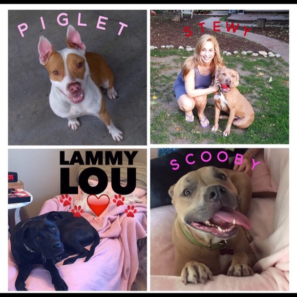 Dog Friendly Closet🐾 -PLEASE READ! - Picture 6 of 8