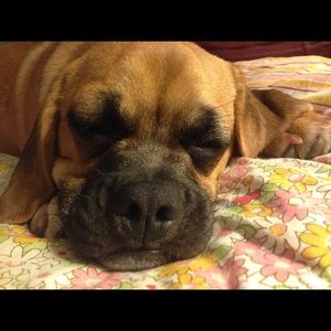 Meet your Posher, Sally