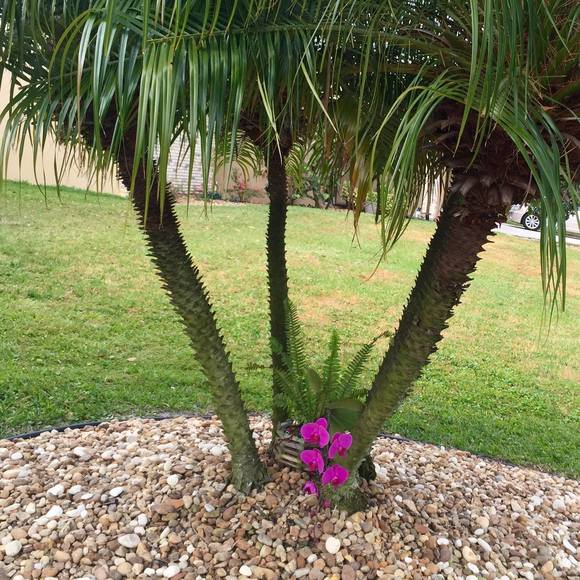 Meet your Posher, Jan