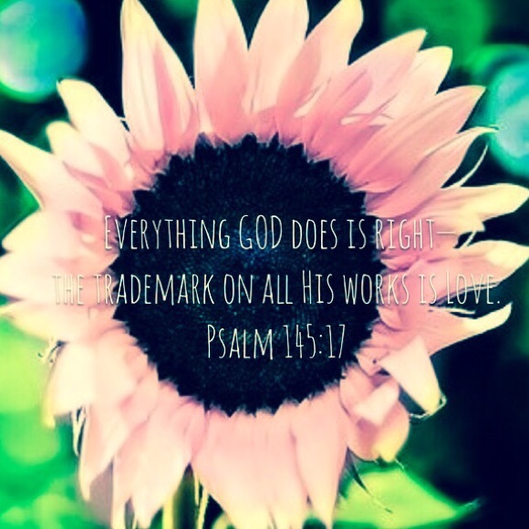 🌸 HAPPY SPRING 🌸 - Picture 2 of 2