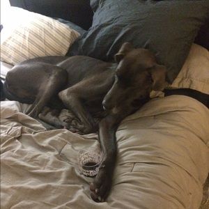 Meet your Posher, Lisa