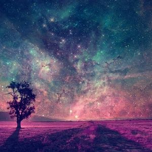 Meet your Posher, Allen