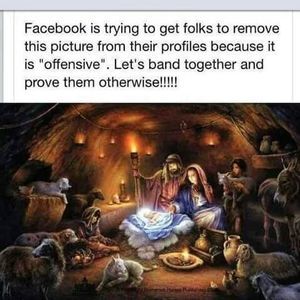 Meet your Posher, Norma