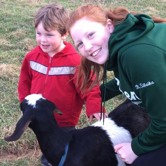 Meet your Posher, Bella - Picture 1 of 1