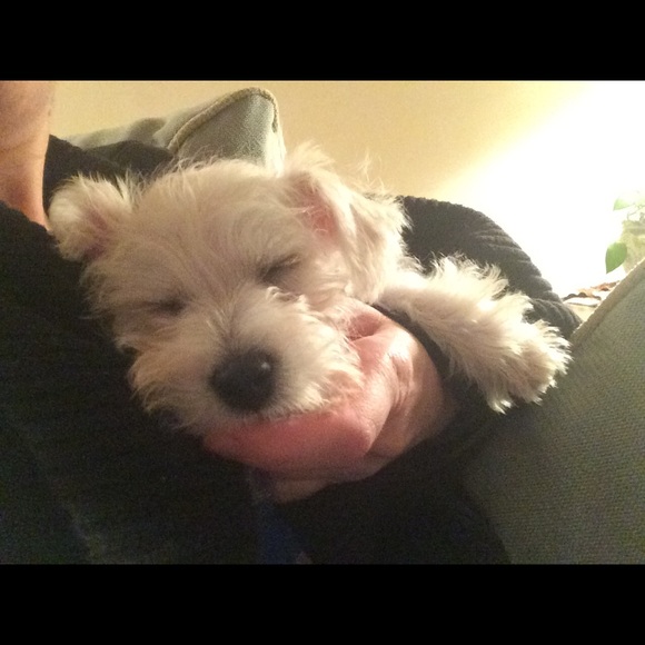 Meet your Posher, Jen - Picture 1 of 1