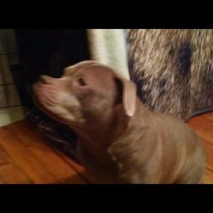 Meet your Posher, Jesse