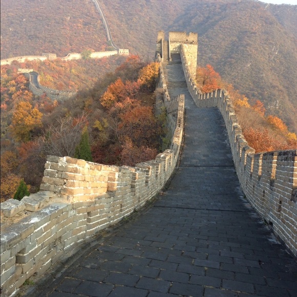 Meet your Posher, Angela - Picture 4 of 4