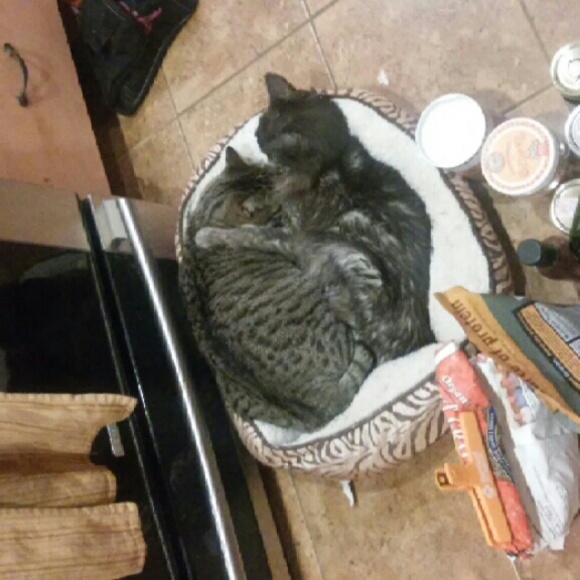 👽MEET THE POSHER👽 - Picture 2 of 3