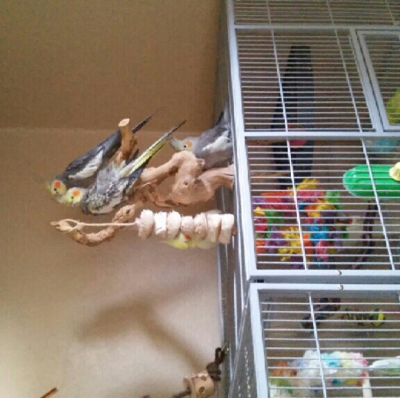 👽MEET THE POSHER👽 - Picture 3 of 3