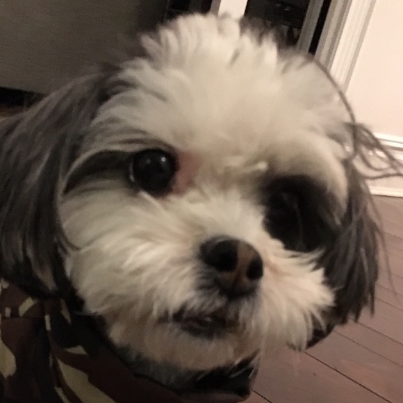 Meet your Posher, Tanaz